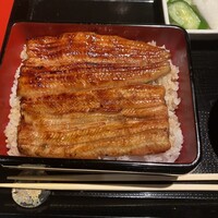 うなぎ 目白ぞろ芽 - 