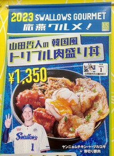 h Teppan Sakaba Tetsuichi - 山田哲人の韓国風ﾄﾘﾌﾟﾙ肉盛り丼1350円