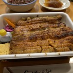 小川の魚 - 