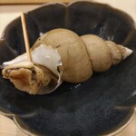 Sushi Taka - 白バイ貝（越中貝）