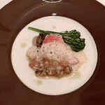 ベラ・ルーサ - 