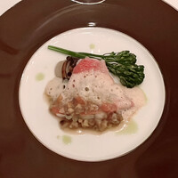 ベラ・ルーサ - 