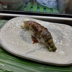 福寿し - シャコ