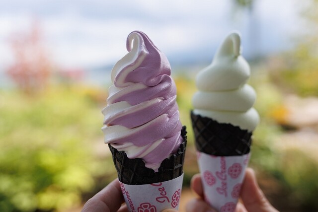 Oishi Park Cafe signature dish