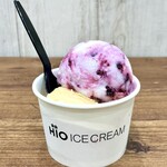 HiO ICE CREAM Atelier 自由が丘 - 