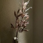 千葉たかおか - 