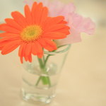 Simple comme Bonjour - 