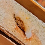 匠 進吾 - 追加）アオリイカ