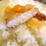 みすたーらいおん - 