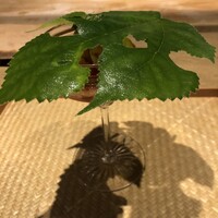 御幸町 田がわ - 