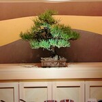 鮨 恵比寿 幸凛 - 