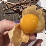 ラ・ヴァガボンド - 