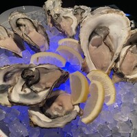 MAIMON GINZA - 