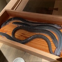 にょろ助 銀座 - 