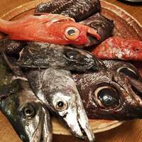 銀平 北新地店 - 