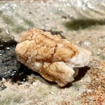 千葉たかおか - 穴子