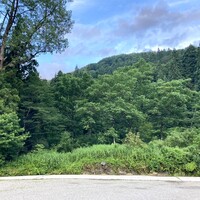 レヴォ - 富山市から南砺市の利賀村に移転されたのが2020年。まさに秘境という言葉がピッタリの、周りを緑に囲まれた、大自然の恵みが眠る山奥の限界集落にお店を構える。