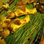 露庵 菊乃井 - 鮎の塩焼き