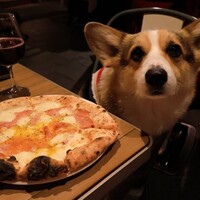 エビスエスクラッシコ - 