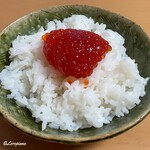 ポート - 料理写真:一夜漬けの筋子をオンザライス