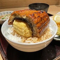 焼きふぐ 優ふく 北新地店 - 