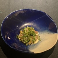 セルサルサーレ - 