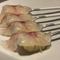 セルサルサーレ - 