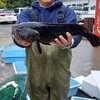 旨い魚と近江の味処 大津つりや - メイン写真: