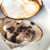 ヌキテパ - 蛤とスイカの種