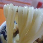 空飛ぶうどん やまぶき家 - 