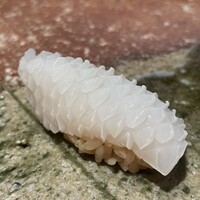 寿司 あつや - 