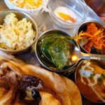 本格インドカレーの館 スパイス - チキンサグカレー