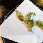 郷土料理ともん - ヨモギの左にポルチーニことアカヤマドリがあったのですよ