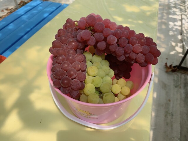 ぶどうやさん西村 - 動橋/ジューススタンド | 食べログ