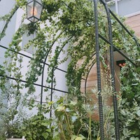 マディソン ニューヨーク キッチン - 