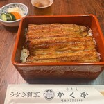 Kakumoto Unagi - 