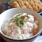 Niigata Katsu Ichi - 小梅ご飯