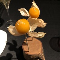 プレヴナンス - 