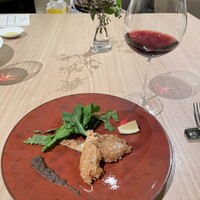 SCALAE - 
