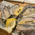 OYSTERS,INC. - 