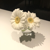 レフェルヴェソンス - 