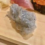 Kaisen Sushi Kaikatei - シラス