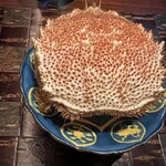 龍吟 - 夏の毛蟹は運動量があり活きがよいそう