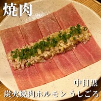 炭火焼肉ホルモン うしごろ 中目黒店 - 