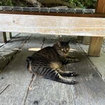 ショクヤボ農園 - 