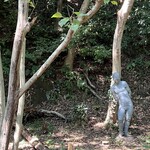 ショクヤボ農園 - 