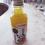 道の駅　紀宝町　ウミガメ公園 - 