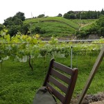 Katsunuma 縁側茶房 - 