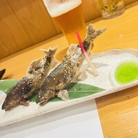柳家錦 - 
