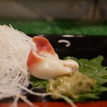 Takara Zushi Bunten - 